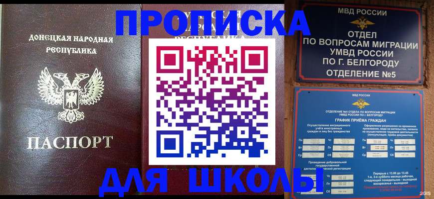 прописка для работы в Волхове